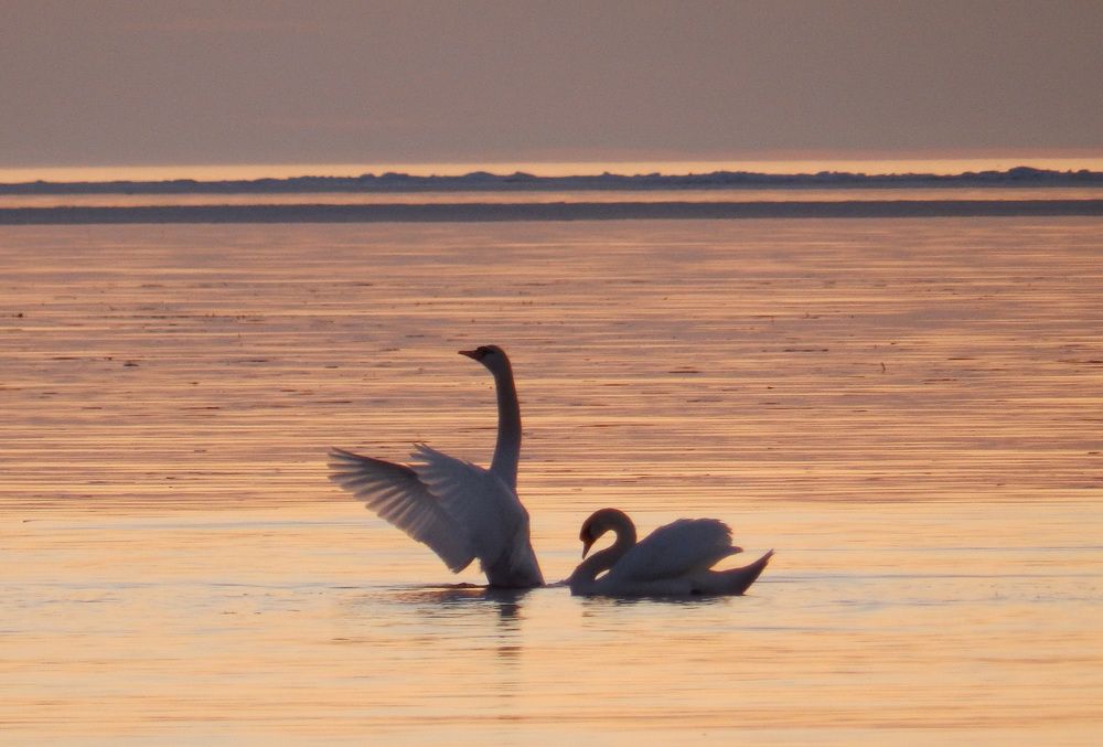 Photograph by Ирина Арканова