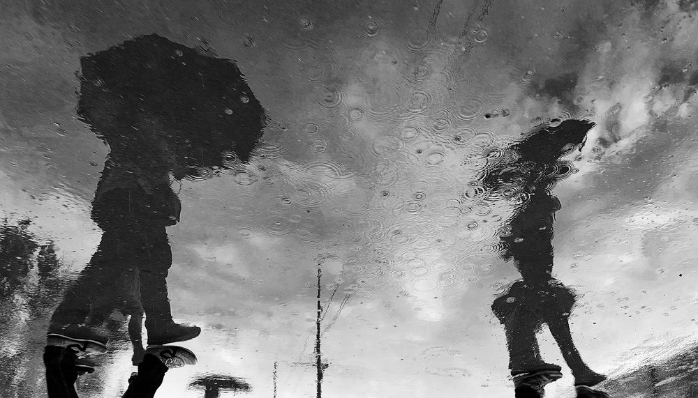 Дождливый май