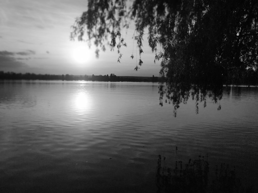 Photograph by Litvinova Ann