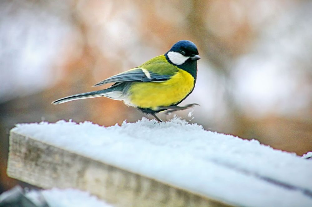 Photograph by Vitaliy Saposhnikov