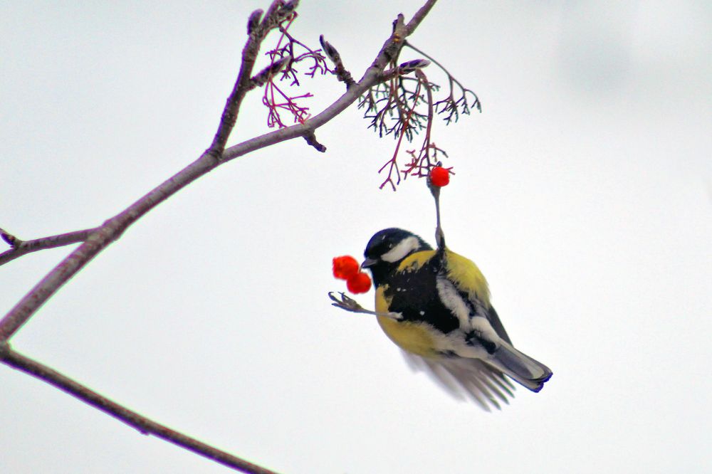 Photograph by Vitaliy Saposhnikov