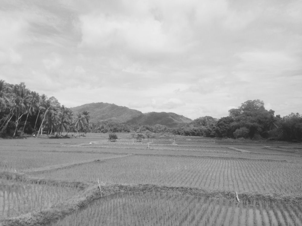 Open wide of my Landscape scenery