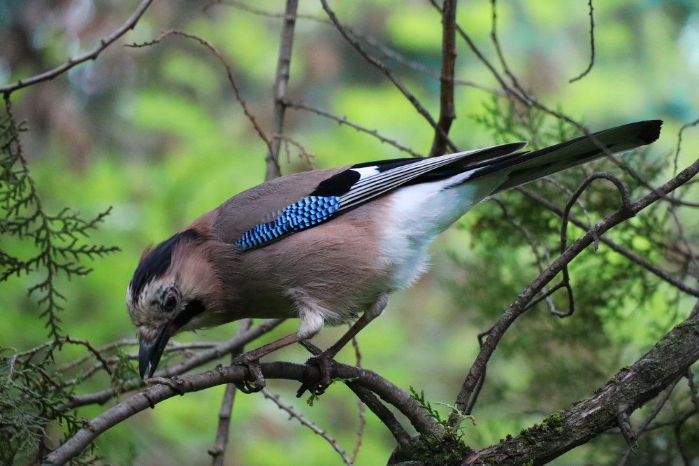 Photograph by Anna Perevozchikova