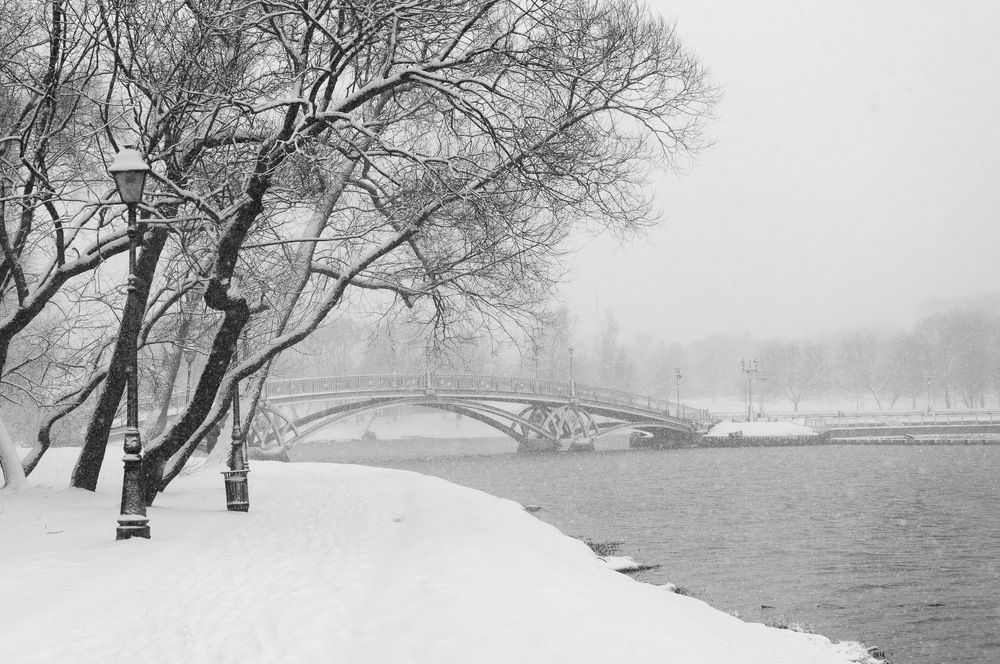 Photograph by Логинова Светлана