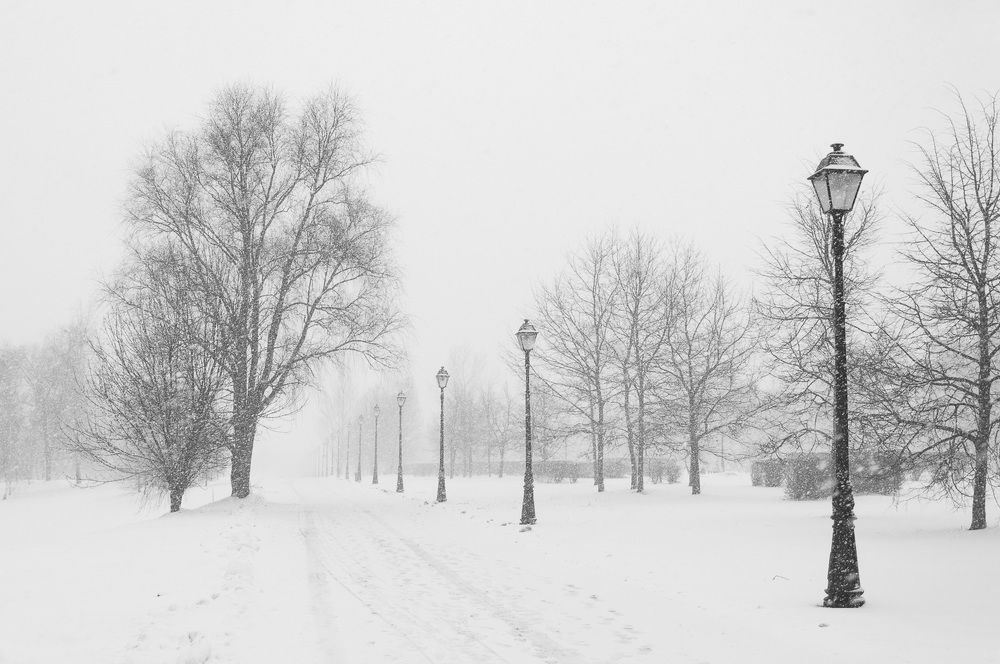 Photograph by Логинова Светлана