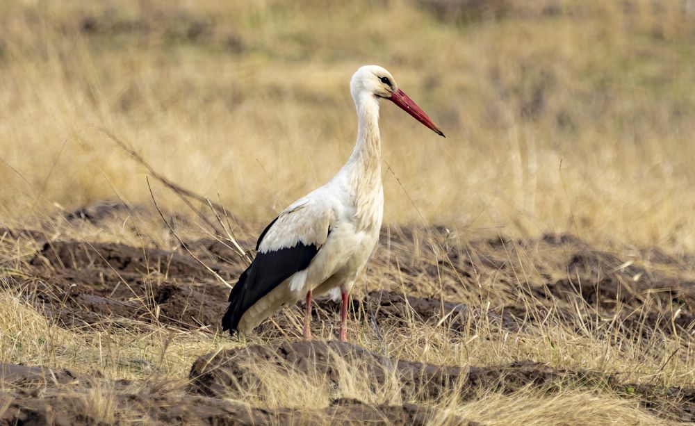 Photograph by Анастасия Малахова