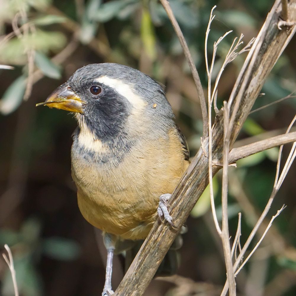 Photograph by Karina Elena Bergagna