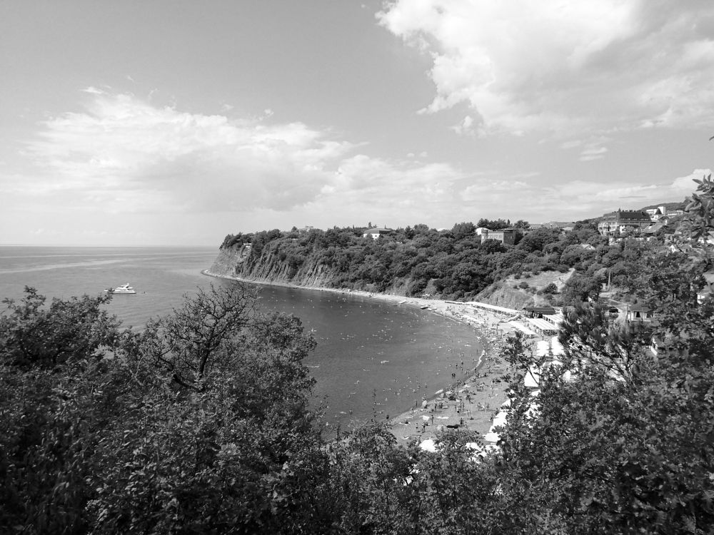 Photograph by Алексей Чеботарев