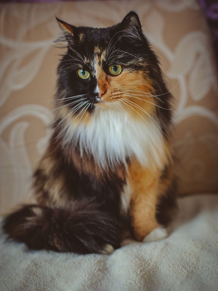 Photograph by Евгения Пугачева