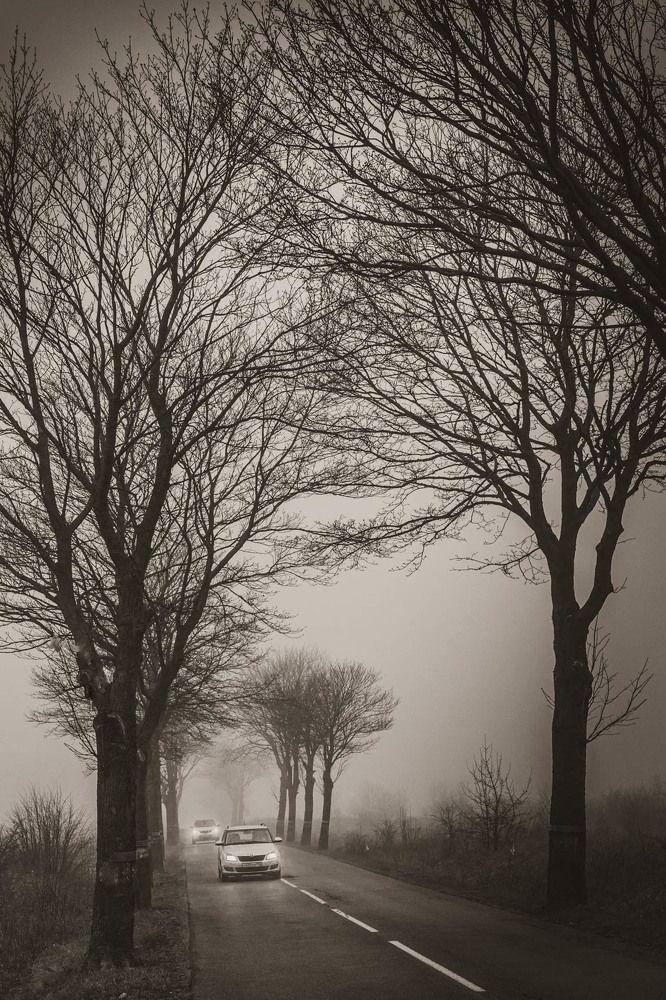 Photograph by Юрий