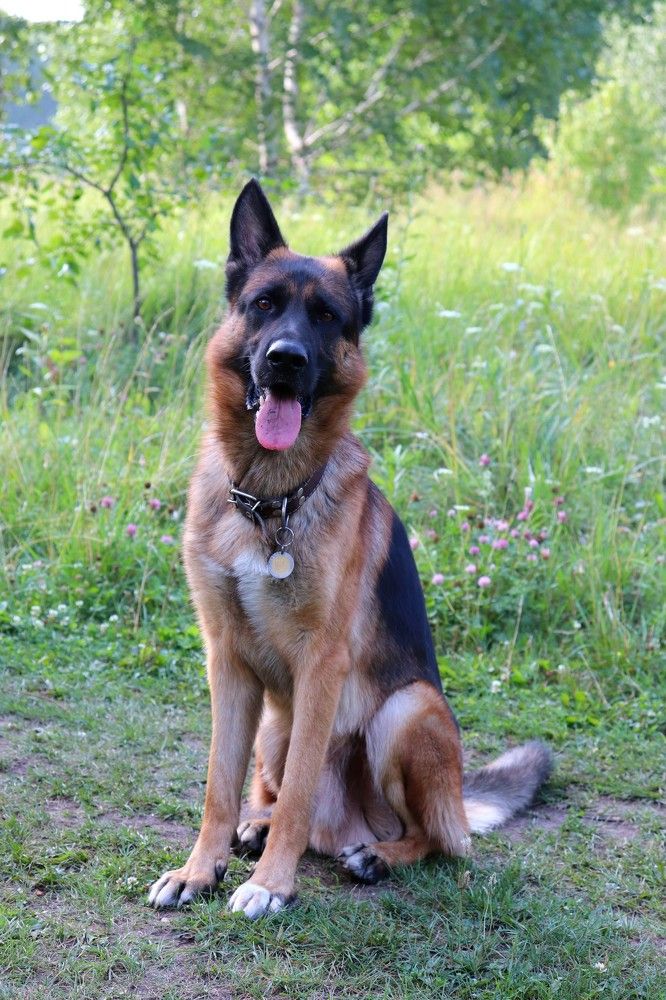 Photograph by Татьяна Котельникова