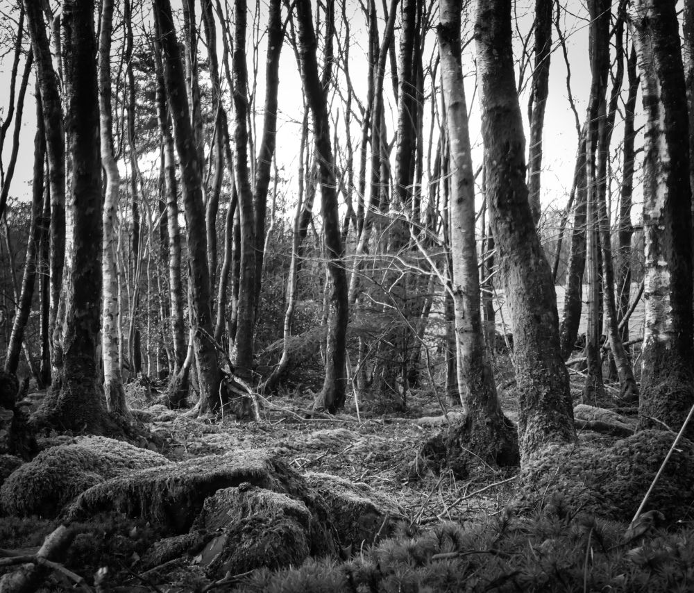 Фотография автора Michael Gault