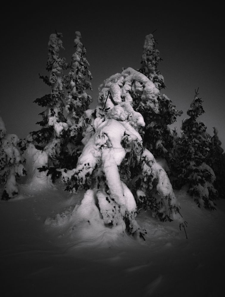 Photograph by DavidKirilov