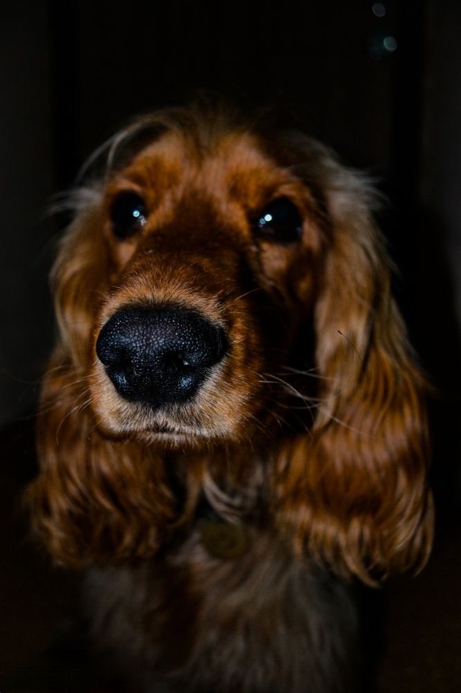 Photograph by Евгения Бобрик