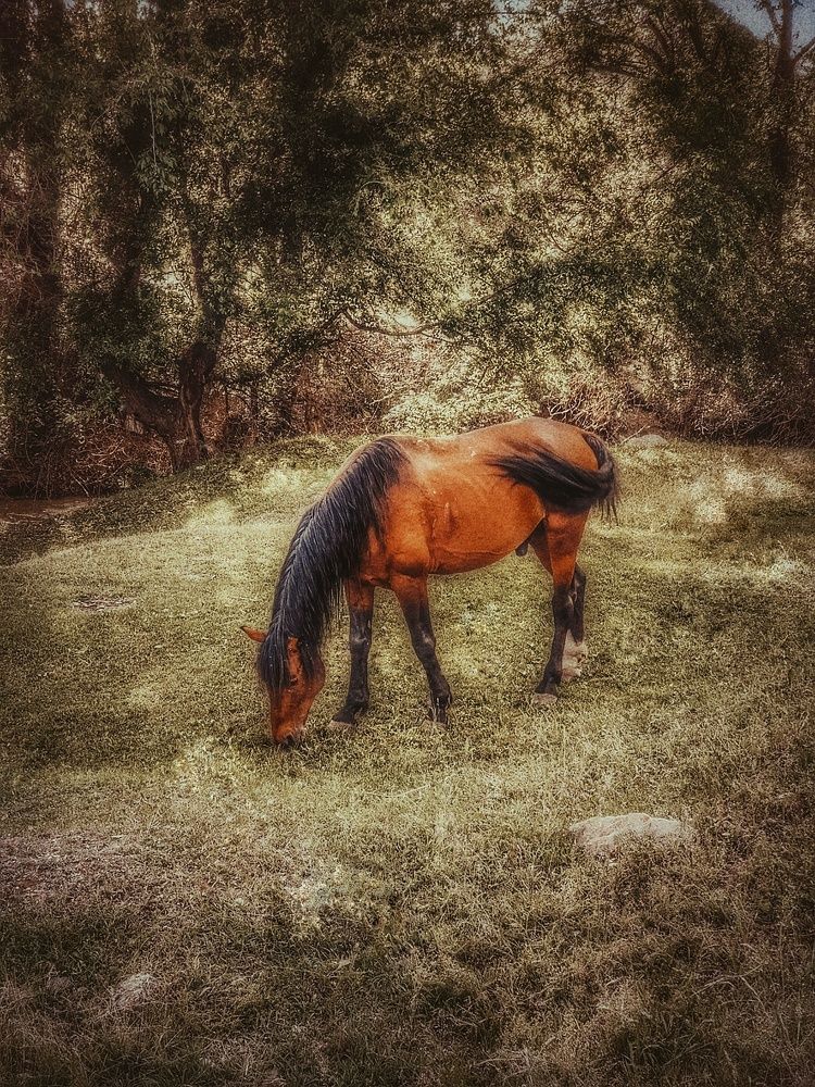 Photograph by Нина Москалёва