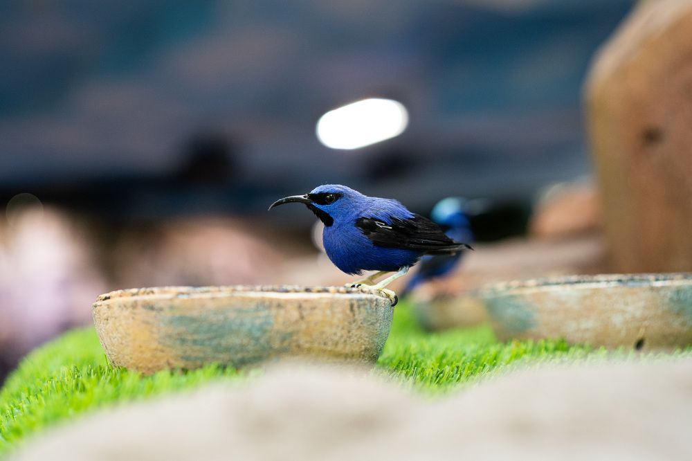 Photograph by Екатерина Панина