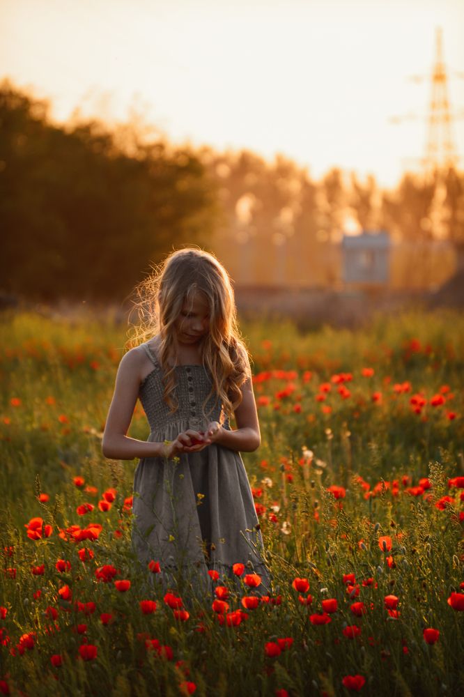 Фотография автора Расул Надыров