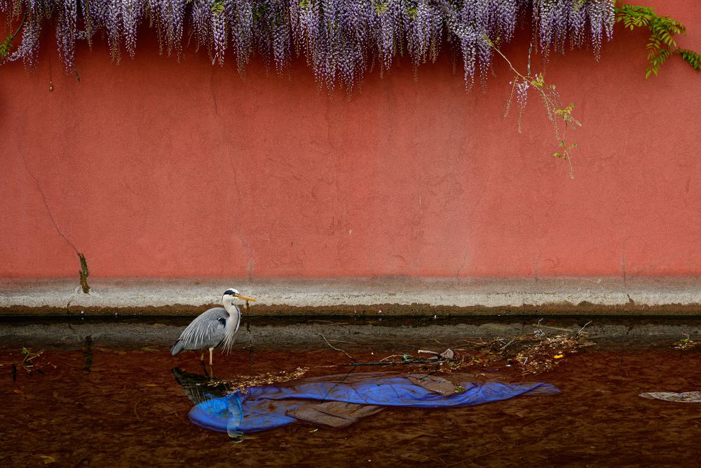 Photograph by Lucio Di Giovannantonio