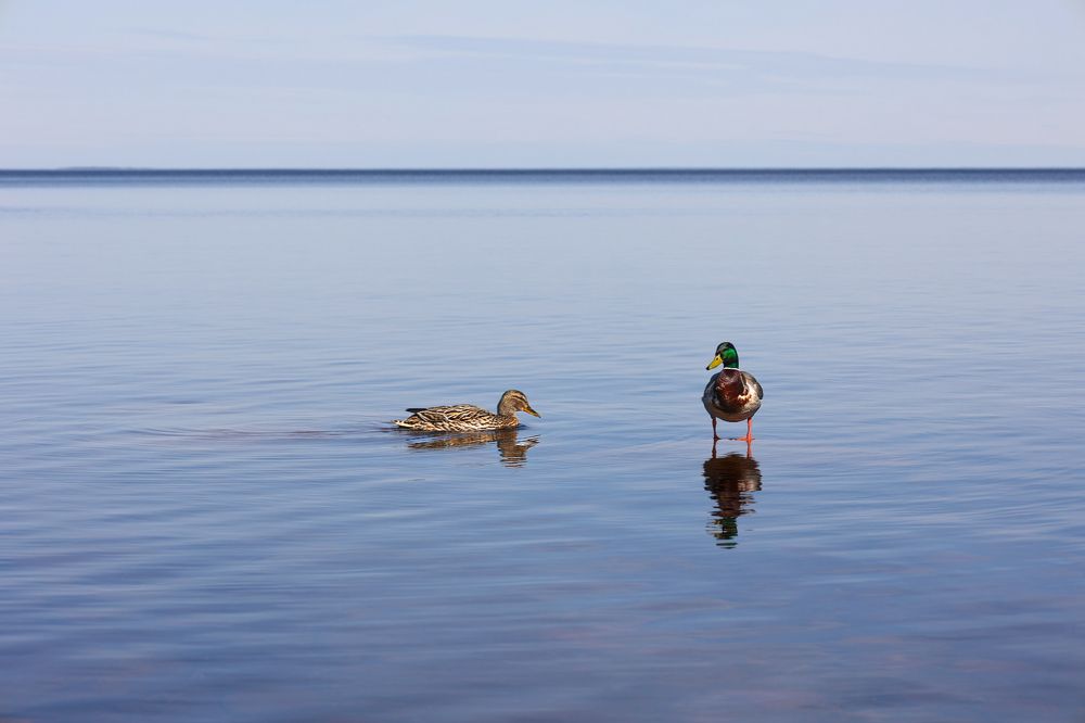 Photograph by Валентина Калинина