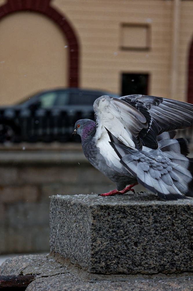 Photograph by Валентина Калинина