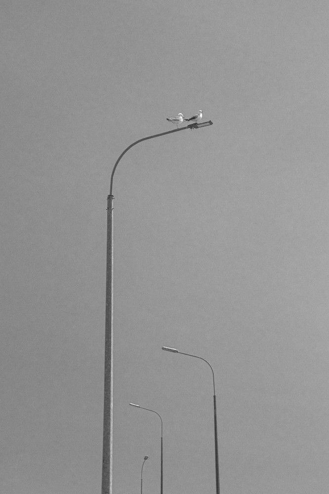 Photograph by Дмитрий Медянников