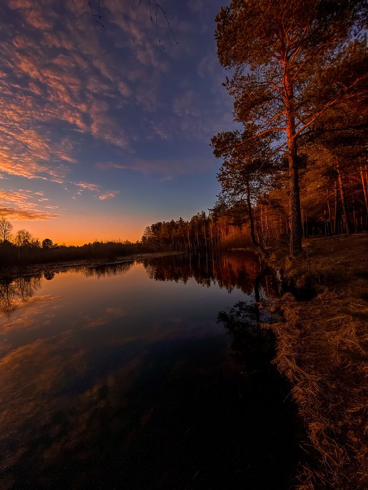 Photograph by Елизавета Эргашева