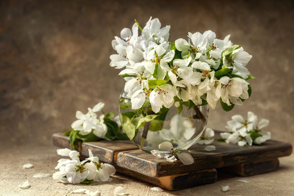 Фотография автора Дмитрий Герц