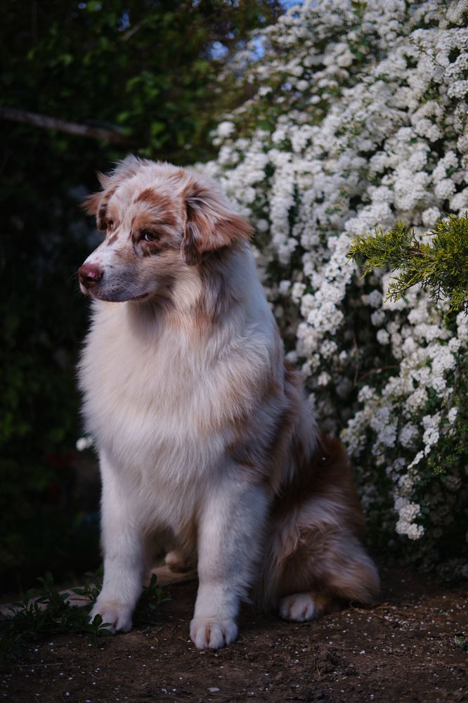 Фотография автора Марат Мурсалимов