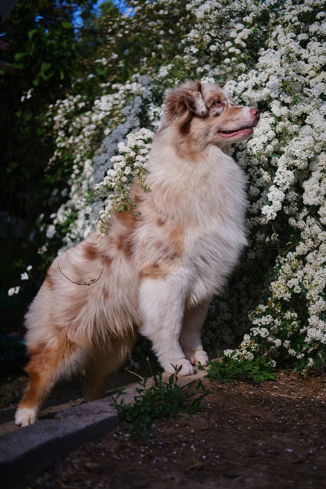 Фотография автора Марат Мурсалимов