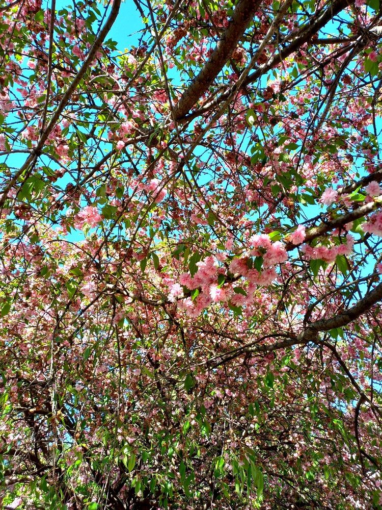 Photograph by Елена Шерман