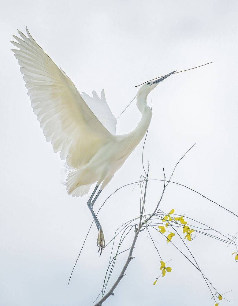 Photograph by Trà Thạch