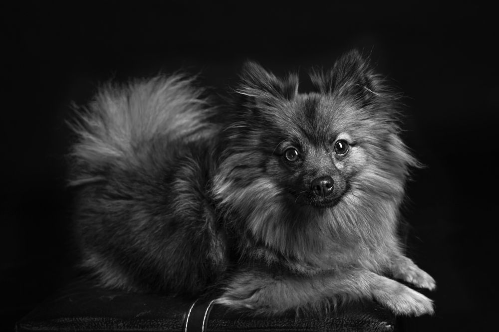 Photograph by Vero Herrero