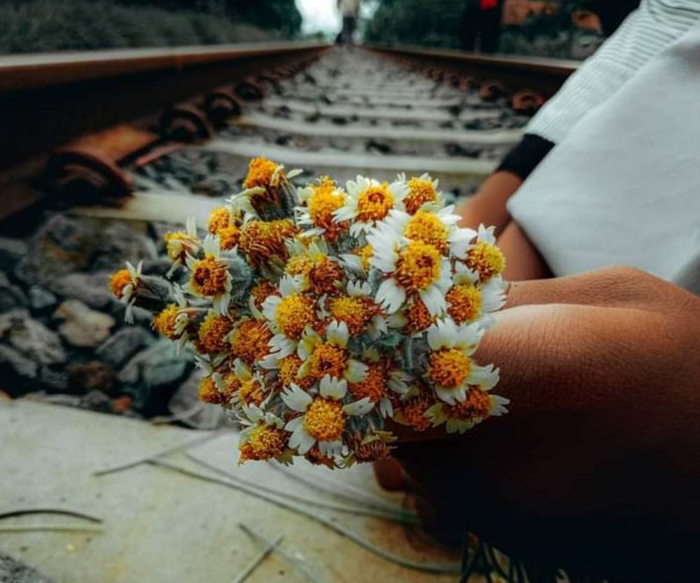 Photograph by Ayi Jamaludin