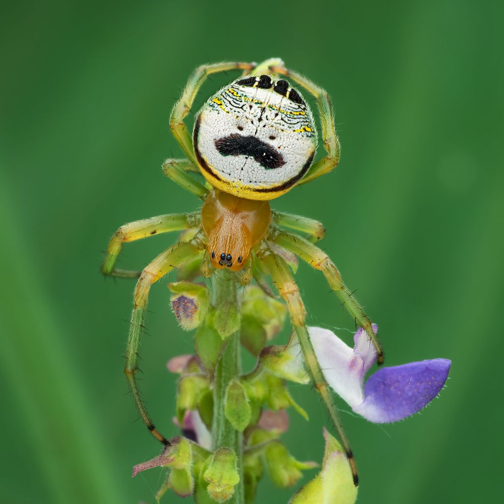 Photograph by VOON YIAN KHIAM