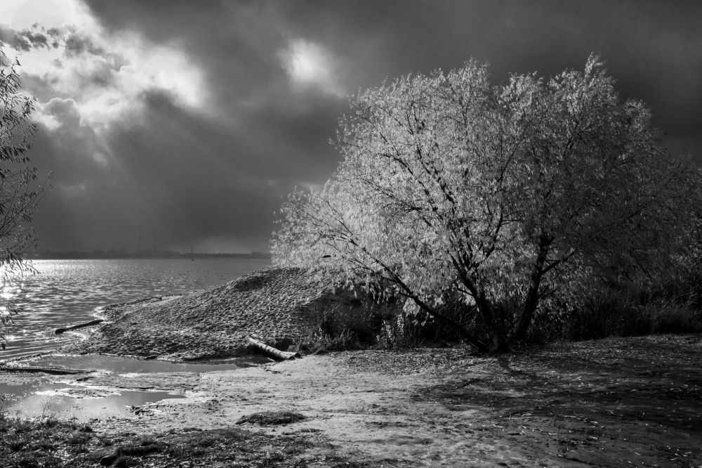 Photograph by Дмитрий Тимин