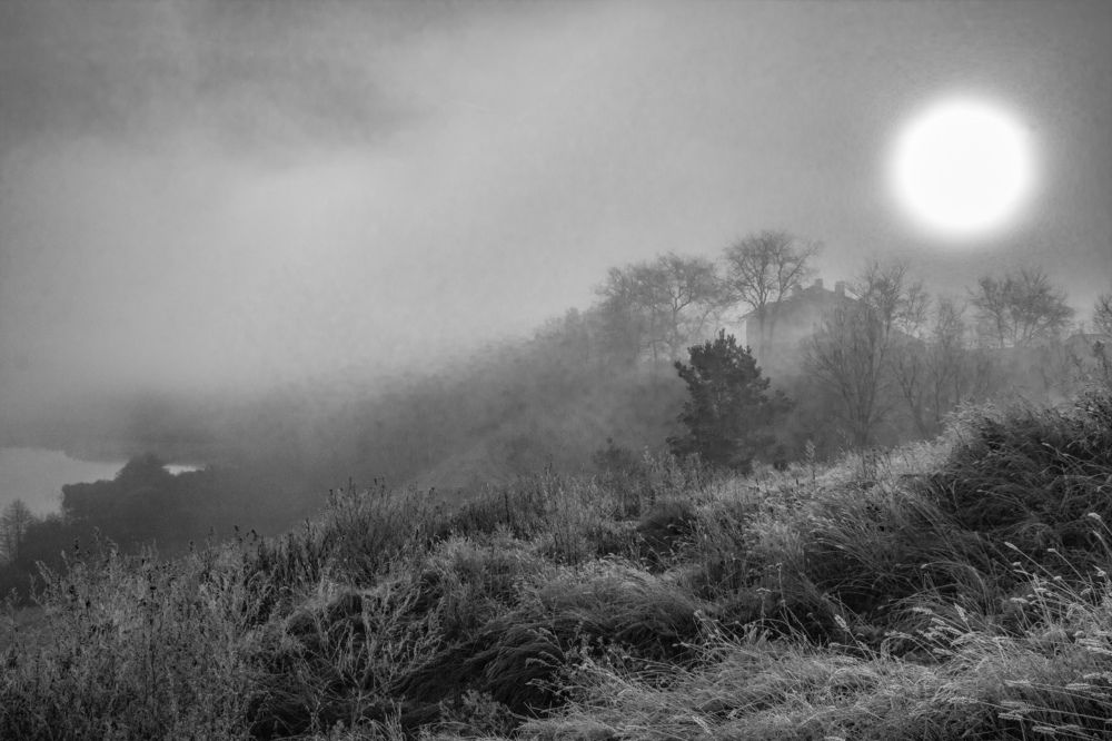 Photograph by Дмитрий Тимин