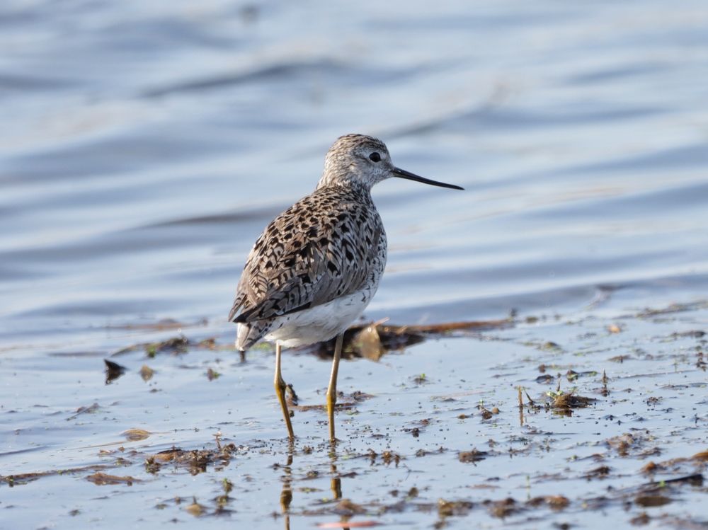 Photograph by Ирина Лисовец