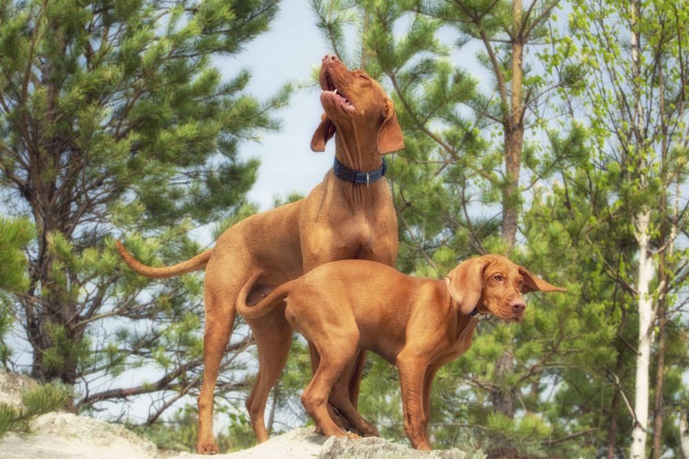 Photograph by Юлия Лушникова