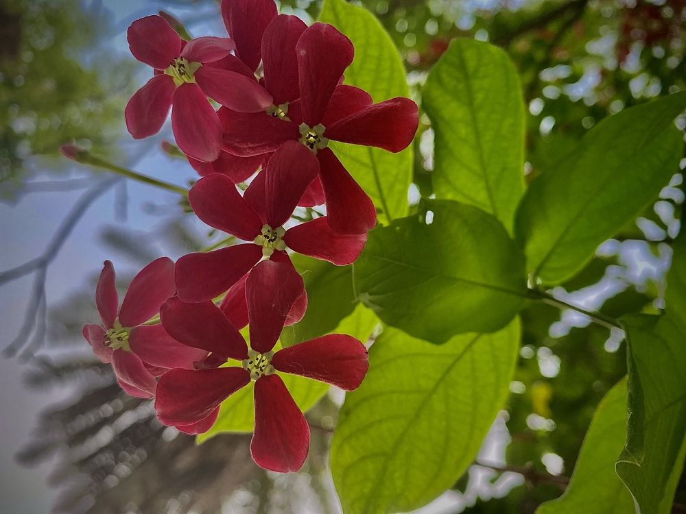 Photograph by Md Khalid Zunaid