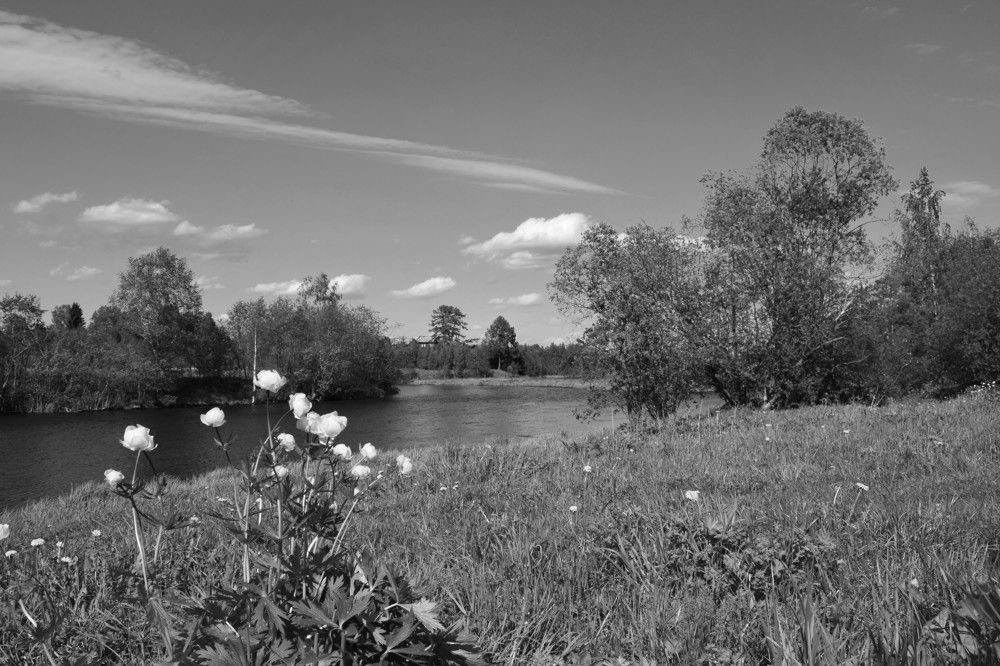 Фотография автора Оксана Льдинина