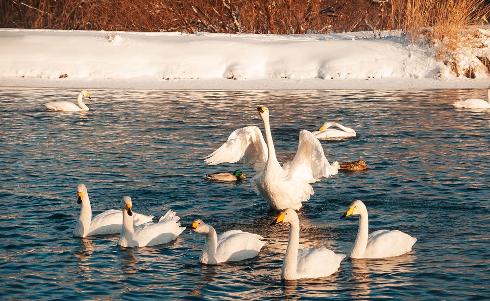 Photograph by Ирина Шерина