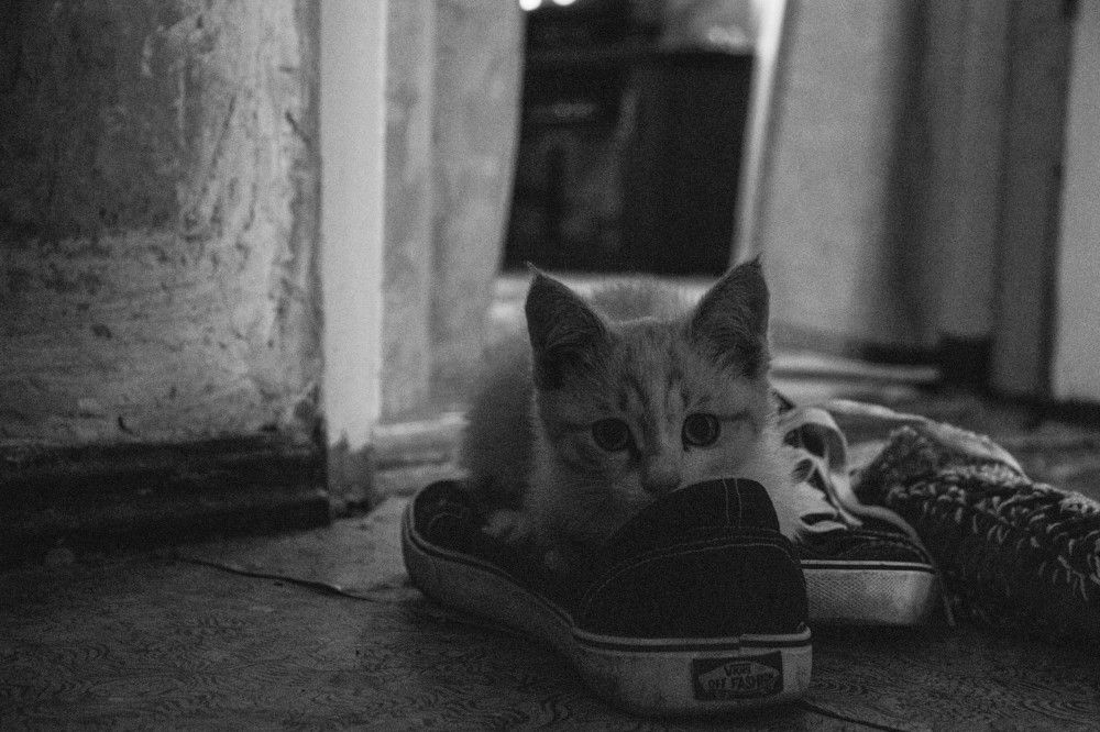 Photograph by Дарья Калугина