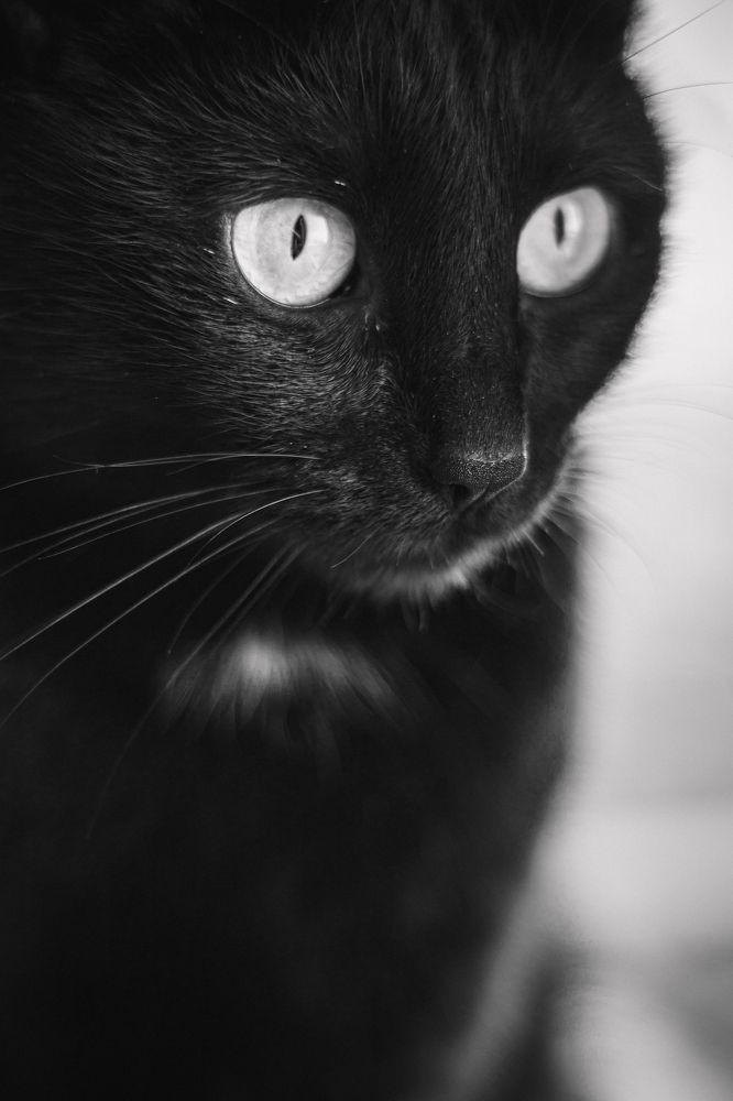 Photograph by Дарья Калугина