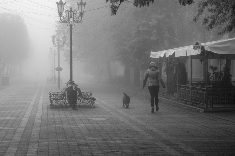 Photograph by 