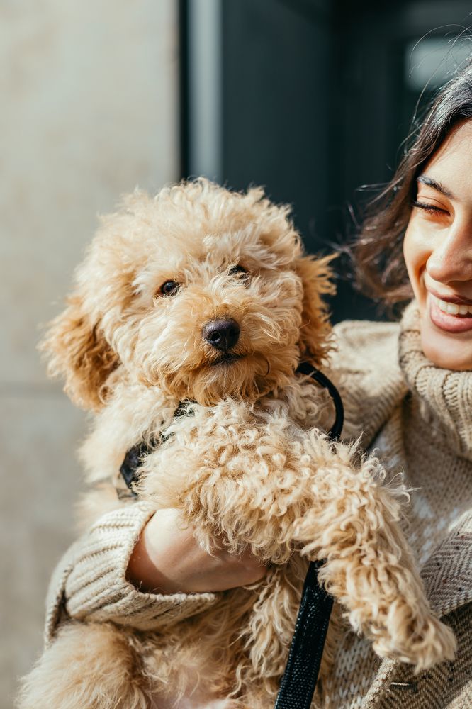 Photograph by Гюнель Ибрагимова