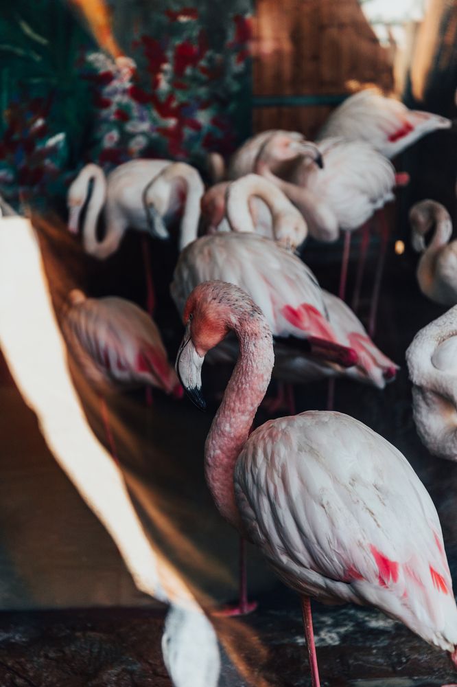 Photograph by Гюнель Ибрагимова