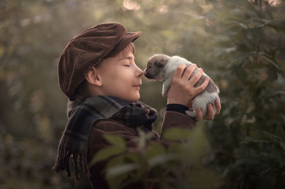 Photograph by Морозова Майя