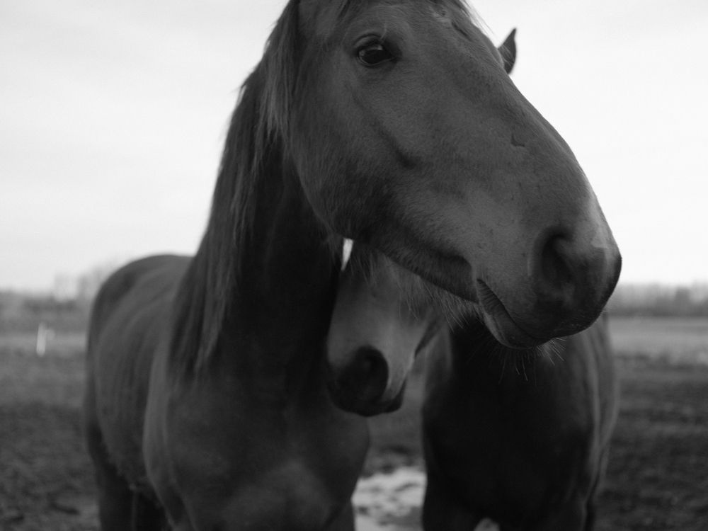 Фотография автора Alfonso Bricegno