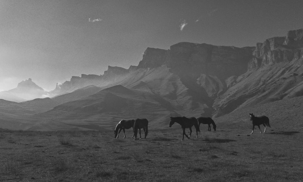 Photograph by Виктор Чернышов