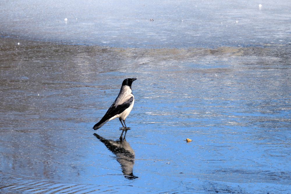 Photograph by Наташа Фишер